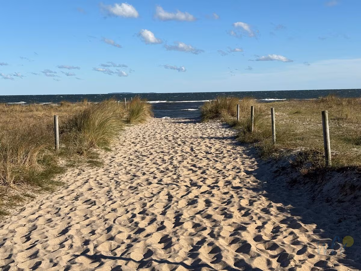 Strand
