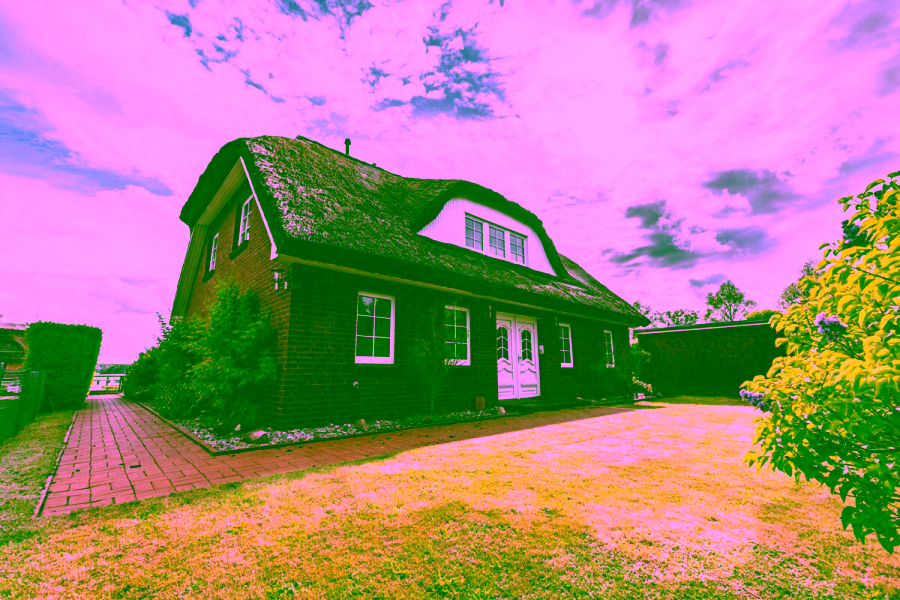 Reetdachhaus mit Lage am See (Videobesichtigung) - Frontansicht (9076)