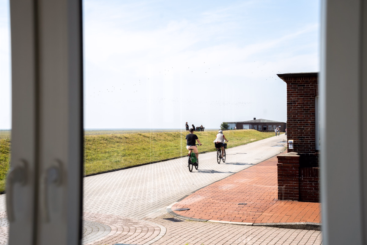 Ferienwohnung / Aussicht
