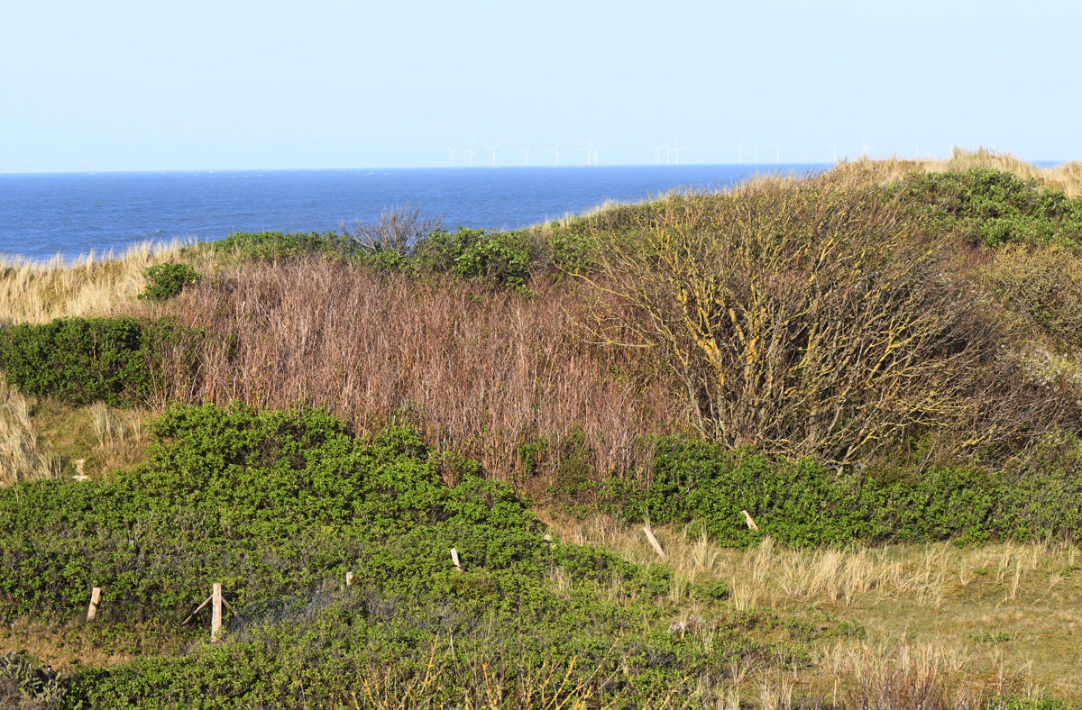 Aussicht