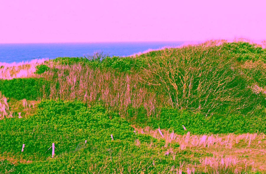Wangerooger Wohlfühltraum mit Blick auf Nordsee aus jedem Fenster. - Aussicht (9056)